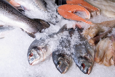 Сибирские ученые назвали самую полезную рыбу в мире
