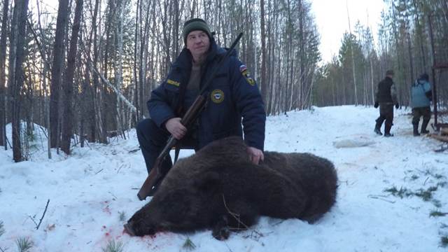 Блогера, снявшего охоту губернатора на медведя, задержали в Иркутске