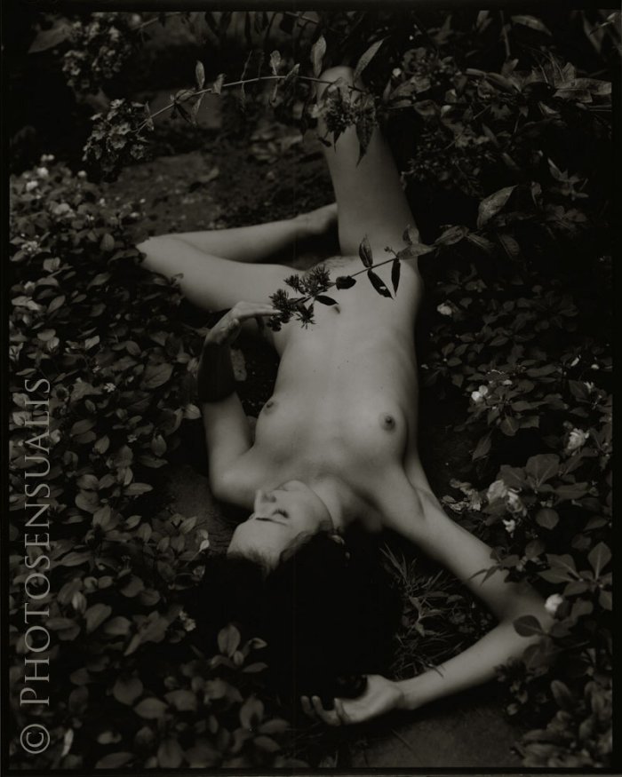 Природная красота от Photosensualis