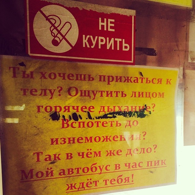Вот почему я обожаю поездки в общественном транспорте Вот почему я обожаю поездки в общественном транспорте в автобусе, в маршрутке, в метро, в троллейбусе, прикол