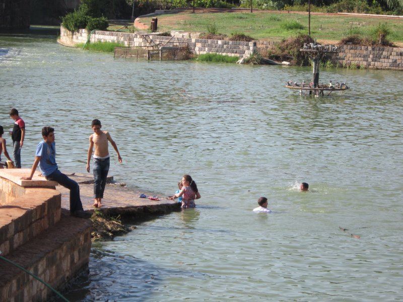 Надежда на чудо- и на Россию