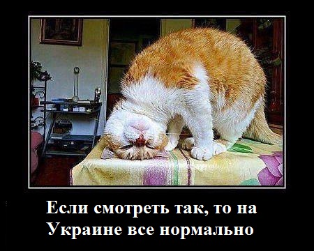 Смешно, аж плакать охота Смешно, аж плакать охота