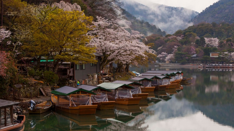 Цветение сакуры в Японии вишня, календарь цветения сакуры, сакура, сакура 2015, сакура 2015 тур, сакура в японии, сакура фото, тур на сакуру, цветение сакуры, япония
