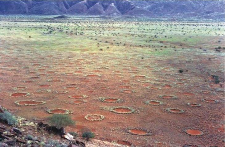 Круги фей На бескрайних просторах пустыни Намиб ученые нашли странные круги, датированные еще прошлым тысячелетием. Ни одна из теорий пока не может полностью объяснить их появление, хотя у местных племен есть несколько легенд о неких подземных драконах, в незапамятные времена выходивших на поверхность.