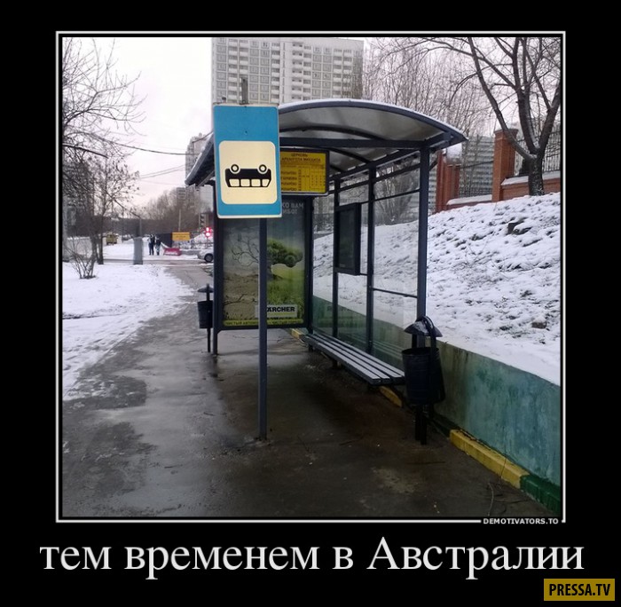 Демотиваторы воскресного дня Демотиваторы воскресного дня