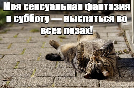 Юмористические картинки специально для вас