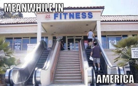 И ЭТИ ЛЮДИ НАМ ЕЩЕ ЧТО-ТО СМЕЮТ УКАЗЫВАТЬ. Тем временем в Америке