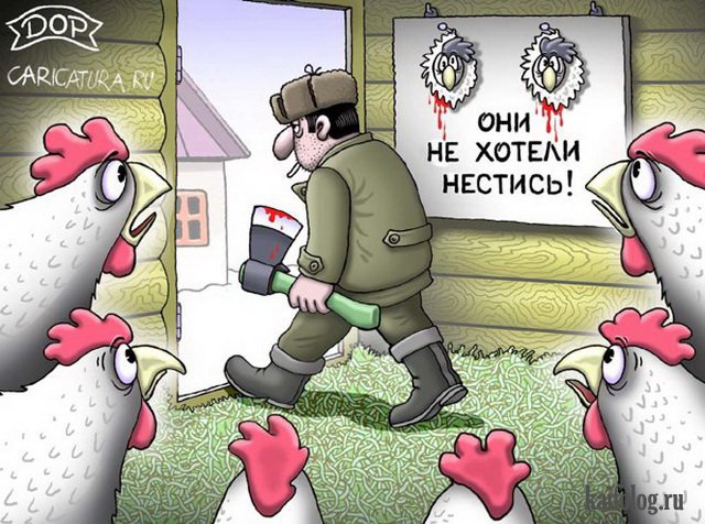 Картинки и карикатуры года (50 картинок) Картинки и карикатуры года (50 картинок)