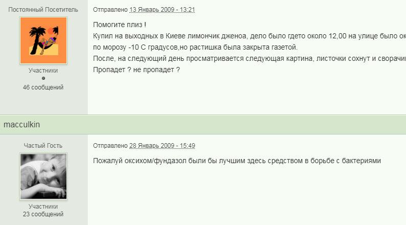 https://360tv.ru/media/uploads/article_images/2019/02/27583_1549713549115752719.jpg