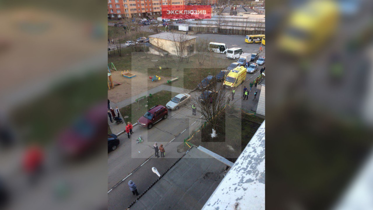 "Своих не сдаём": Подмосковные следователи подтвердили, что сбитый автомобилем мальчик был пьян
