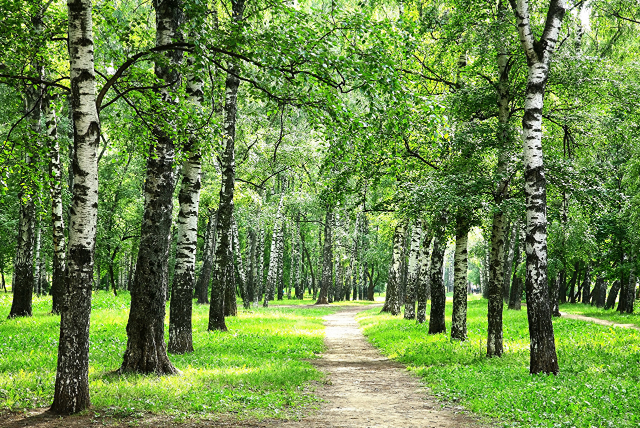 Природа России 6 Природа России 6