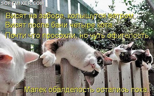 a0d1df27b6e05e70a5636d98500_prev a0d1df27b6e05e70a5636d98500_prev