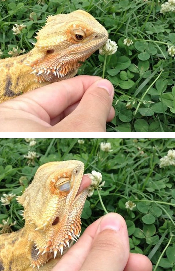    ! , , 