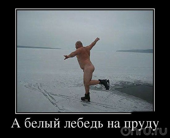 Веселые , смешные демотиваторы обо всем на свете !