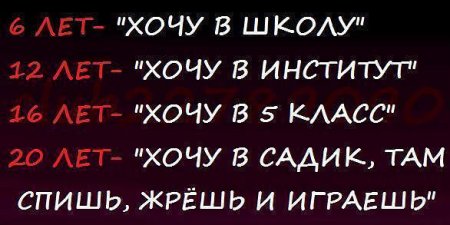 Прикольные цитаты в картинках. Правдивы до безобразия.