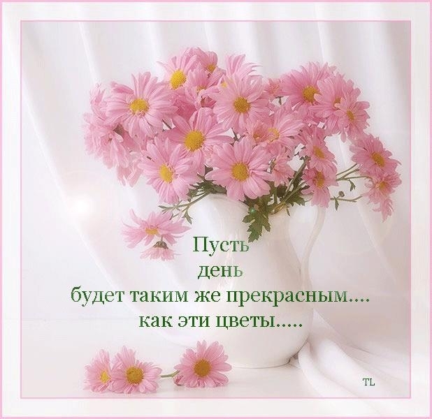 Редкие стихи о юбилеем Редкие стихи о юбилеем