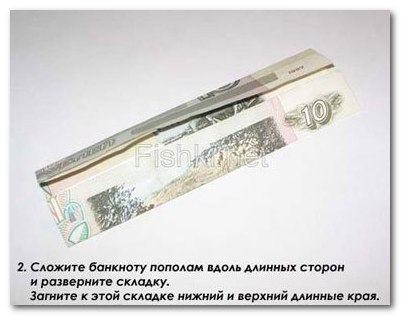 Предлагаем вам поселить в своем бумажнике такого замечательного, приносящего удачу жителя