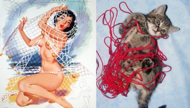 Арт-проект «Cats That Look Like Pin Up Girls» Арт-проект «Cats That Look Like Pin Up Girls»