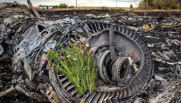 Найденный в кабине «Боинга» МН17 цирконий может сыграть злую шутку с голландцами