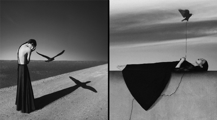   Noell S. Oszvald