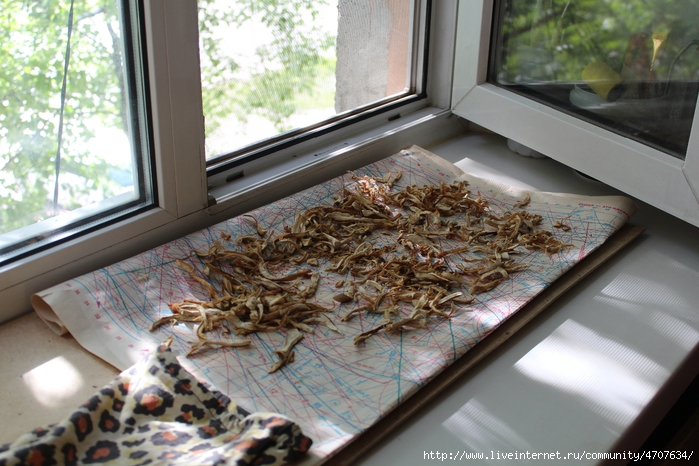 1IMG_ 13 (10) (700x466, 292Kb)