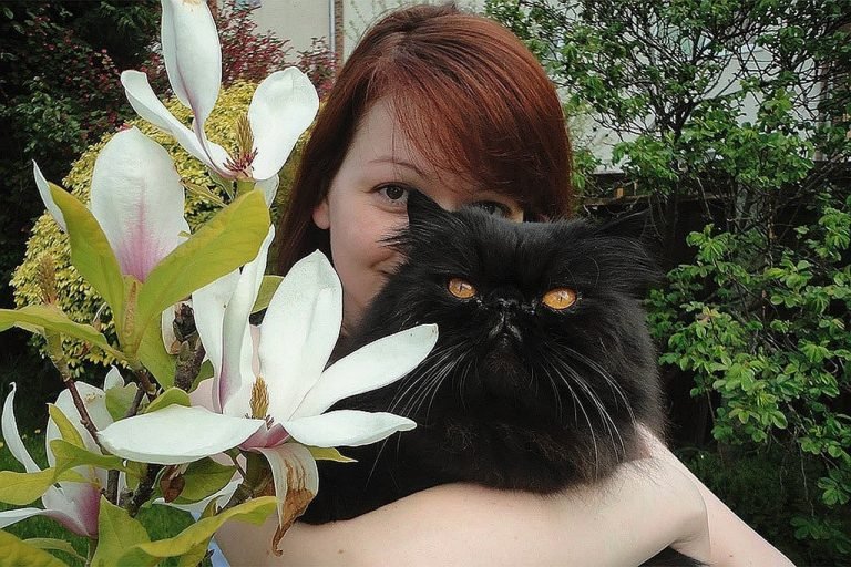 Дмитрий Смирнов: Кот Скрипаля как символ года Дмитрий Смирнов: Кот Скрипаля как символ года