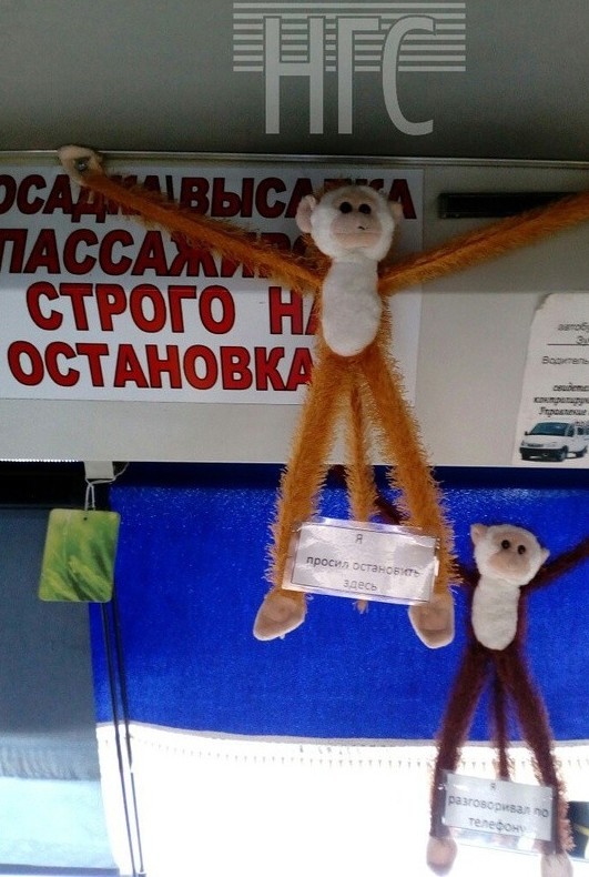 После просмотра этого поста, вы навсегда откажетесь от общественного транспорта! После просмотра этого поста, вы навсегда откажетесь от общественного транспорта!