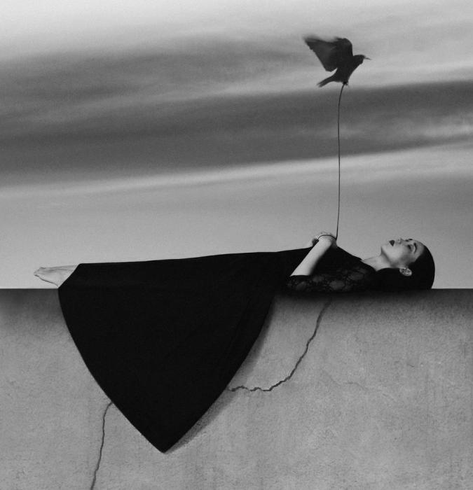   Noell S. Oszvald
