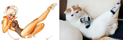 Арт-проект «Cats That Look Like Pin Up Girls» Арт-проект «Cats That Look Like Pin Up Girls»
