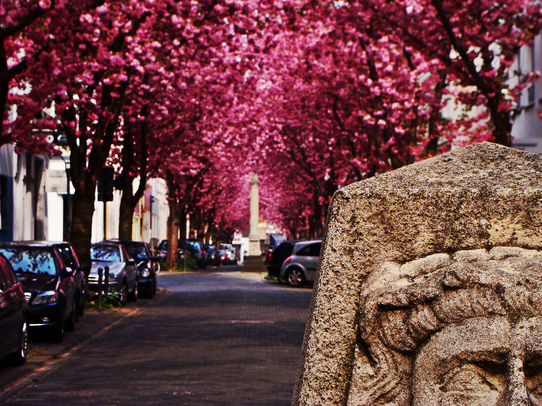 Улица в городе Бонн, Германия