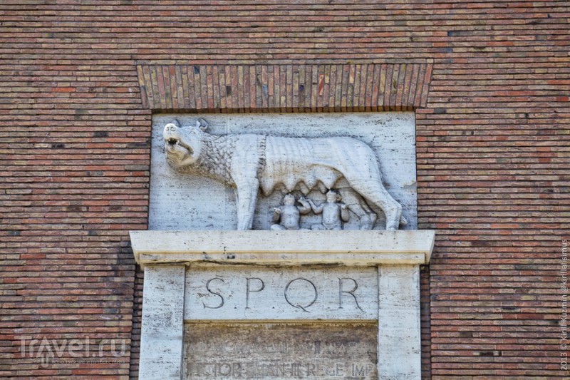 � ������ ���, ������ / ���� �� ��������