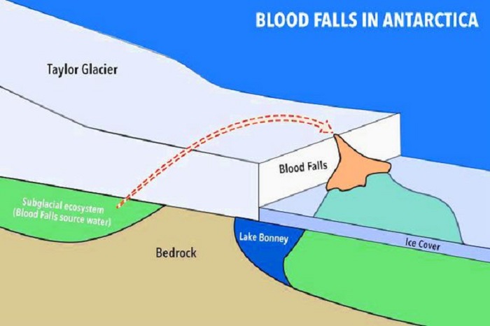 Загадка «кровавого» водопада в Антарктиде