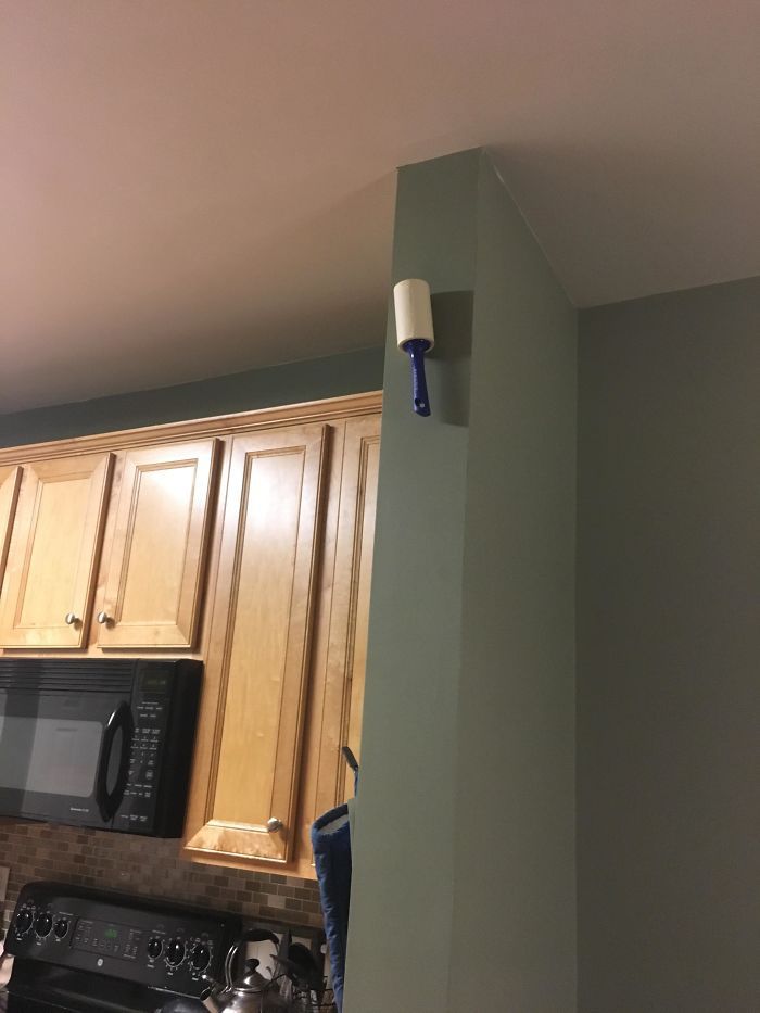 My Husband Has Been Sticking These In Places I Can