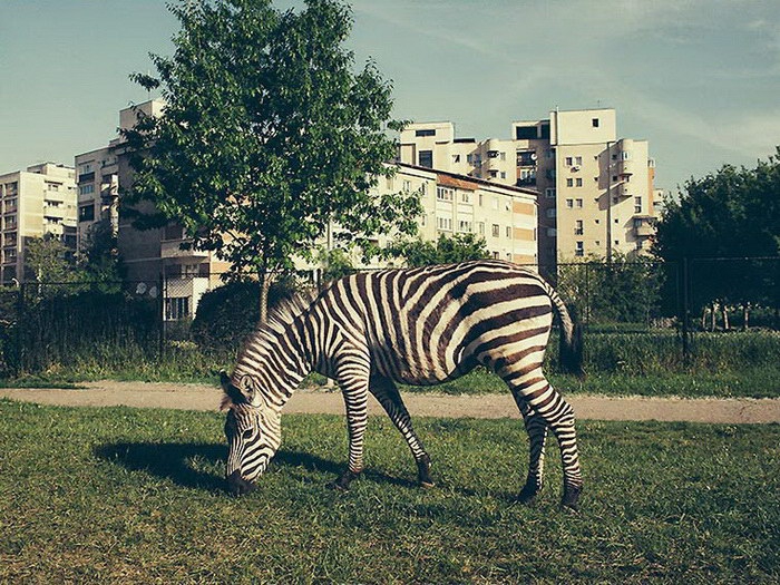 Повседневная Румыния люди, путешествие, румыния, фото, фотопроект