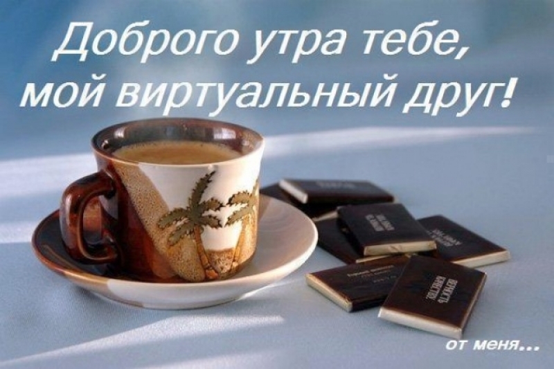 http://mtdata.ru/u8/photo817B/20125226887-0/original.jpeg