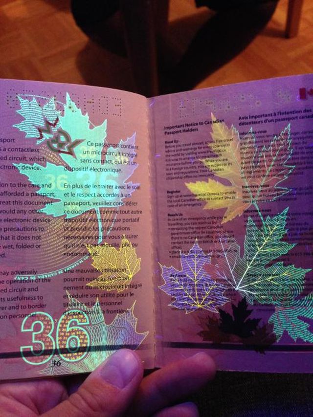 CanadianPassport18 Новый паспорт гражданина Канады в свете ультрафиолета