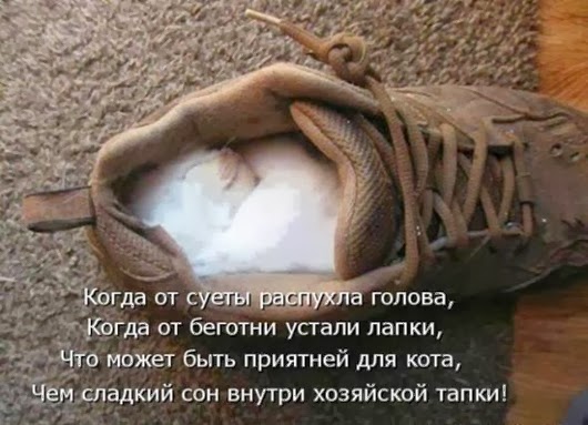 7196c04f8b715c8724306b9a9ec_prev
