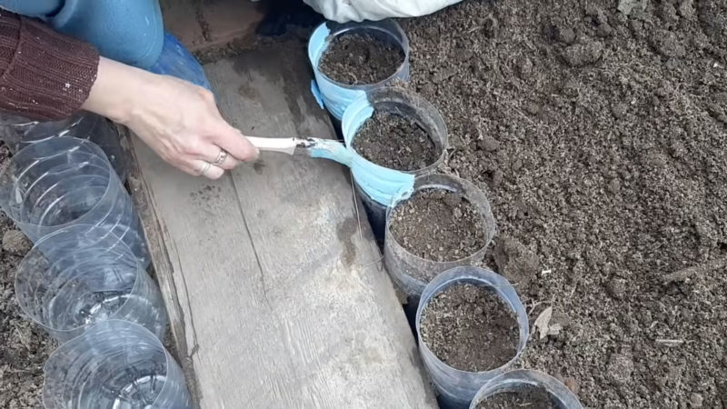 Гениальная идея для клумбы из пластиковых бутылок