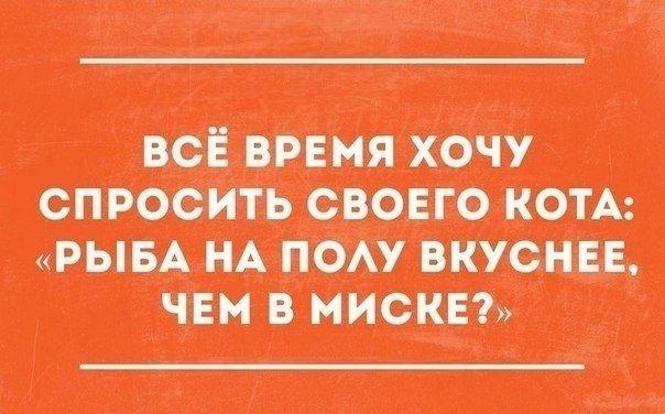 Подборка уморительных историй от обычных пользователей сети