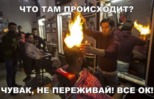 Свежая порция прикольных фотомемов (25 шт) Свежая порция прикольных фотомемов (25 шт)