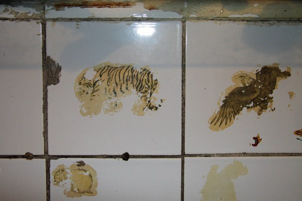 интересное, прочее, девушки, прикол, про жизнь, для одноклассников, прикольные и смешные, для вконтакте, прочие, для аськи