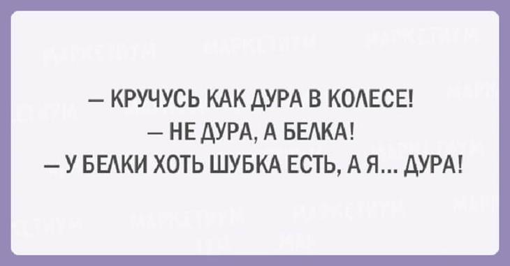 20 оригинальных шуток из жизни женщины