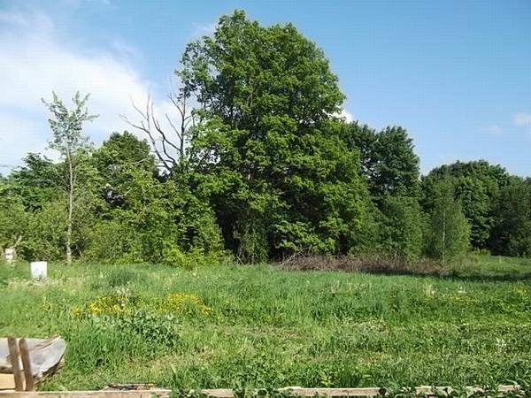 Грядки-короба на моём огороде Грядки-короба на моём огороде