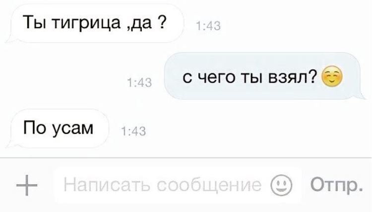Убойные перлы в переписках Убойные перлы в переписках