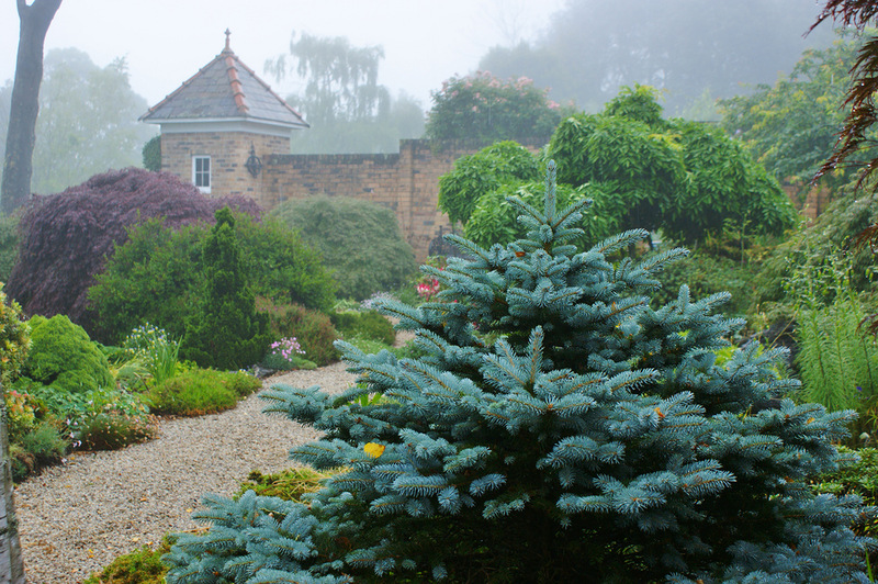 MERRY GARTH GARDENS. 