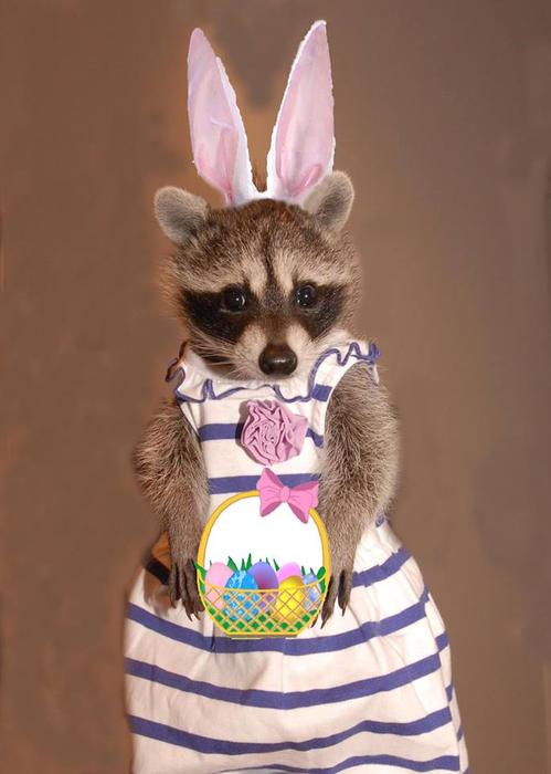 Давайте улыбаться вместе