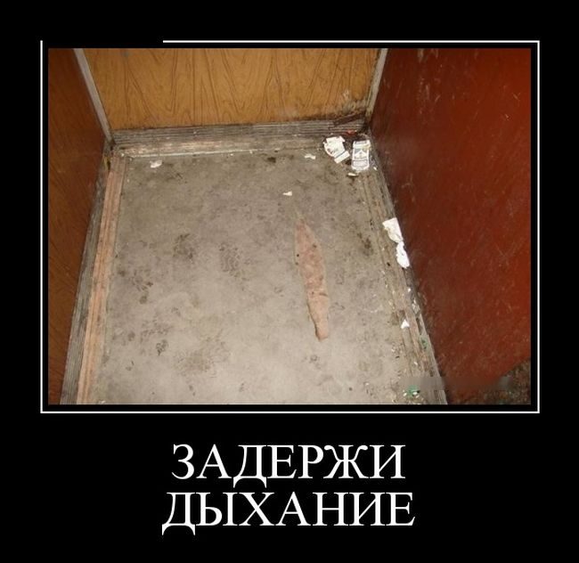 Демотиваторы для хорошего настроения