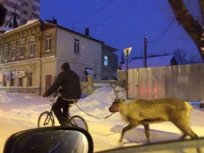 Наша Russia. Супер блокбастер! Наша Russia. Супер блокбастер!