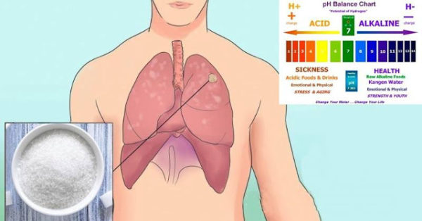 У каждого человека присутствуют в организме раковые клетки. Как помешать им стать опухолью?!? У каждого человека присутствуют в организме раковые клетки. Как помешать им стать опухолью?!?
