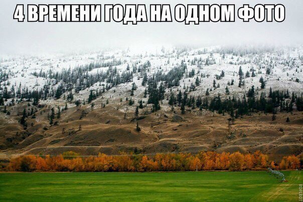 Новая партия искрометных приколов для надрыва животов Новая партия искрометных приколов для надрыва животов